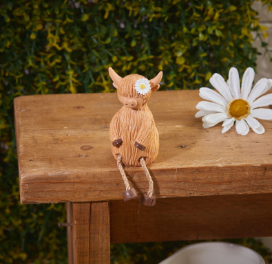 Daisy shelf sitting highland cow