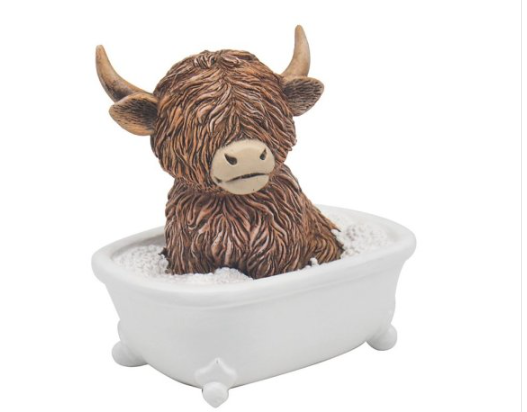 Highland Cow in bath