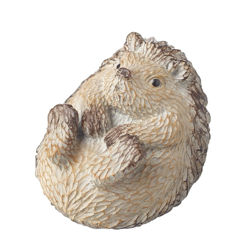 Mini Hedgehog, laying on back