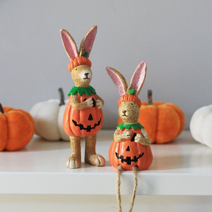 Pumpkin Rabbit