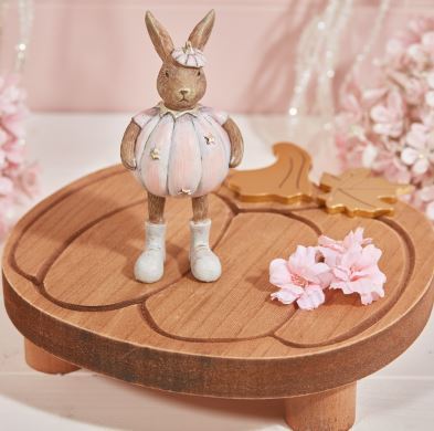 Pink Pumpkin Rabbit, 3 designs