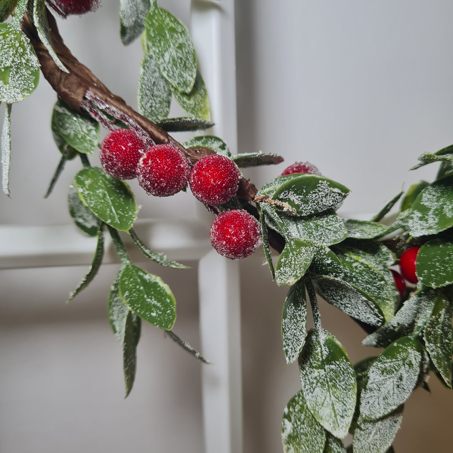Red Berry Heart Foliage