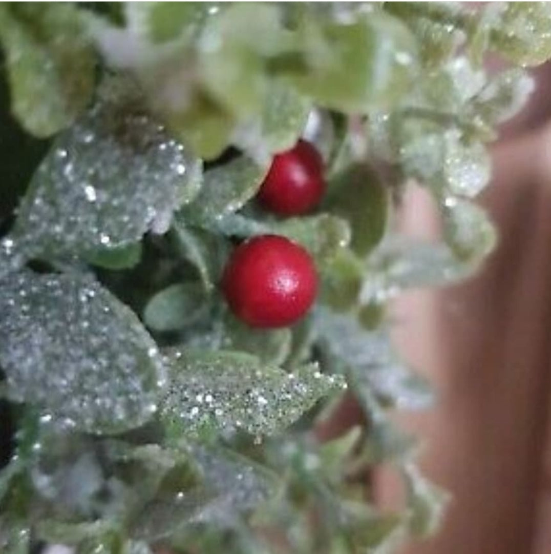 Christmas Berry Tree