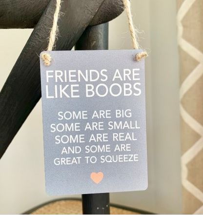 Friends like boobs, Mini Metal Sign