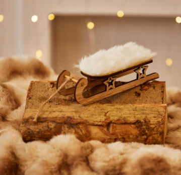 Sleigh Hanger