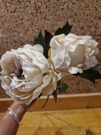 White Peony Stem