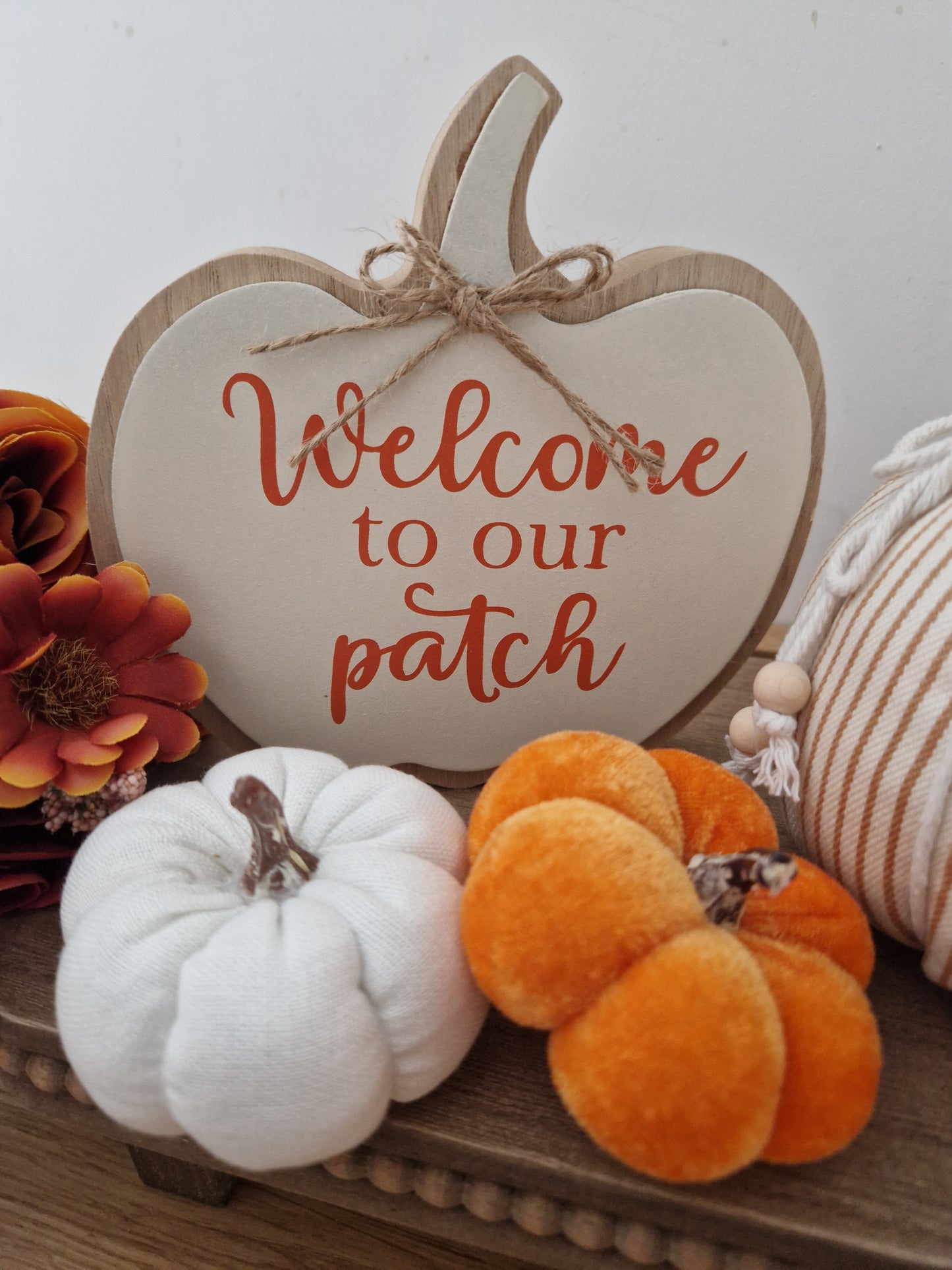 Pumpkin Wooden Patch, 4designs