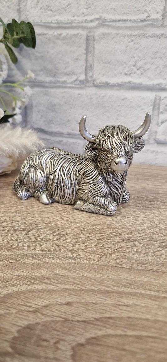 Silver Laying Highland Cow