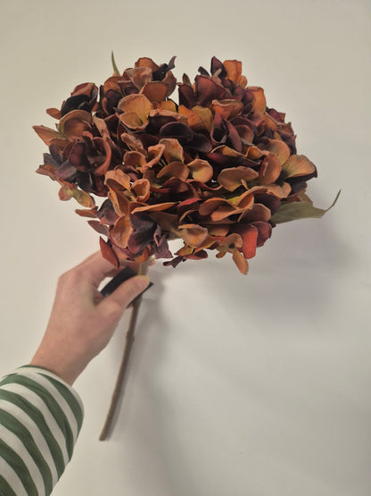 Burnt Orange Hydrangea, 46cm