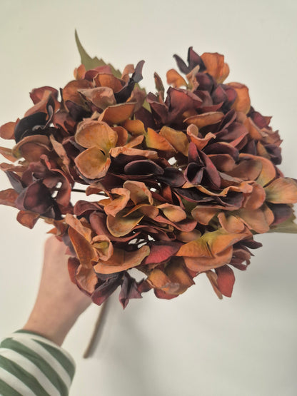 Burnt Orange Hydrangea, 46cm