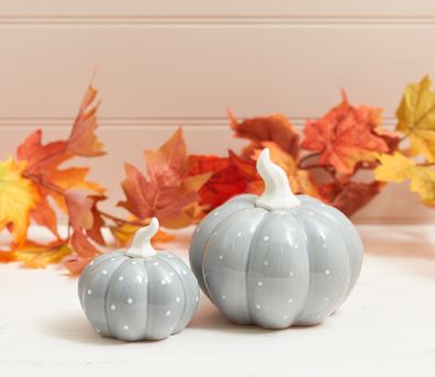 Grey Spotted Pumpkin, set 2