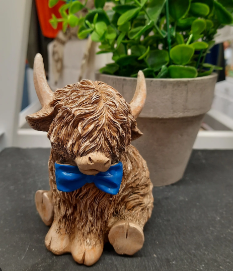 Bow Tie, Highland Cow