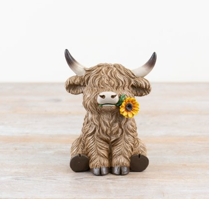 Highland Cow with Sunflower