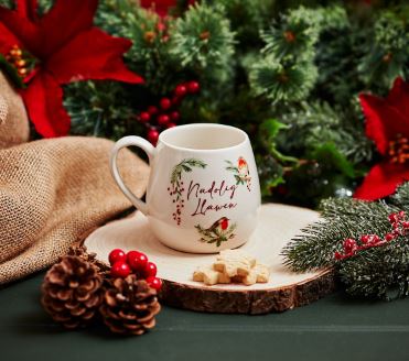 Welsh Nadolig Llawen Robin Mug