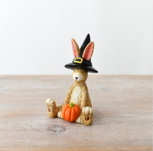 Sitting witch rabbit with pumpkin