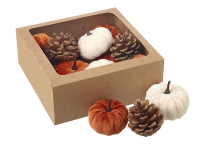 Pumpkins + Pinecones Box