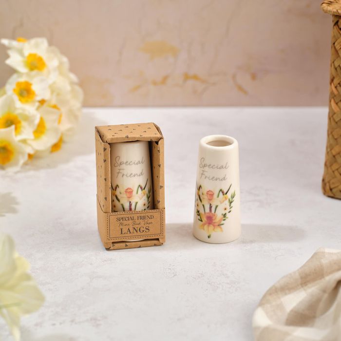 Special Friend, Mini Vase with Gift Box