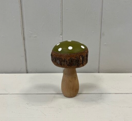 Green Spotted Mushroom