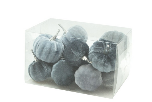 Grey velvet Pumpkins Mix, 12