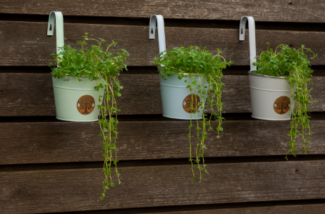 Tree of Life Hanging Planters, 3 designs