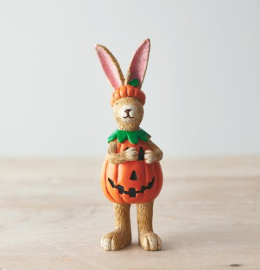 Pumpkin Rabbit