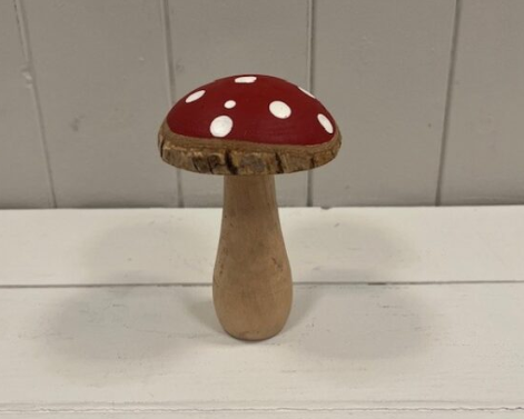 Red Spotted Mushroom