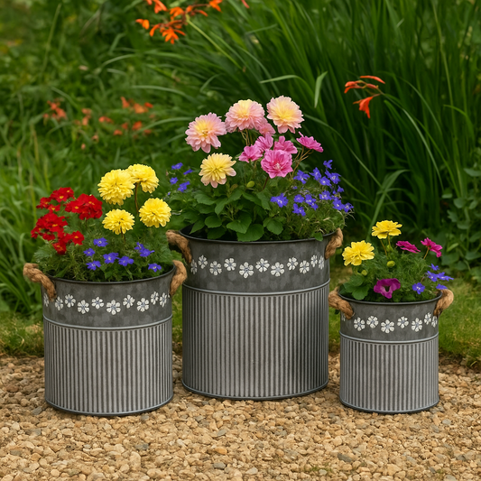 Set 3, Zinc Daisy printed planters