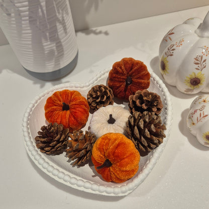 Pumpkins + Pinecones Box