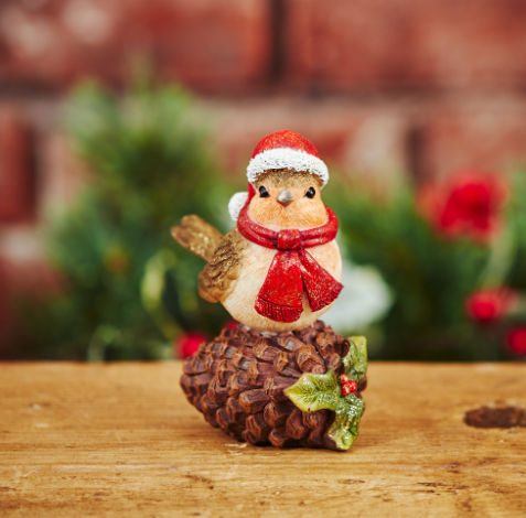 Robin on pinecone