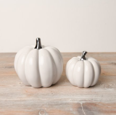 White Pumpkin with Silver Stalk, 2 sizes
