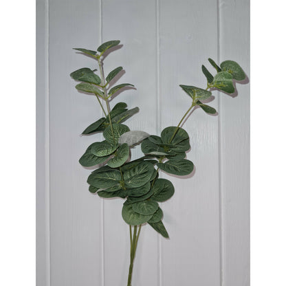 Eucalyptus Spray Stem, 60cm