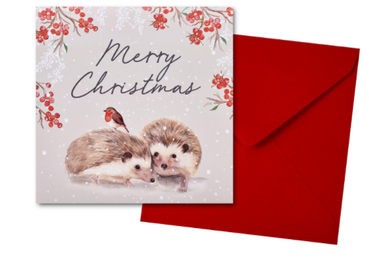 Hedgehog Christmas Card