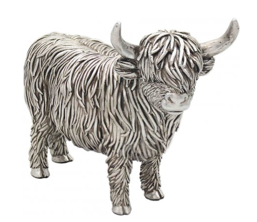 Silver Highland Cow